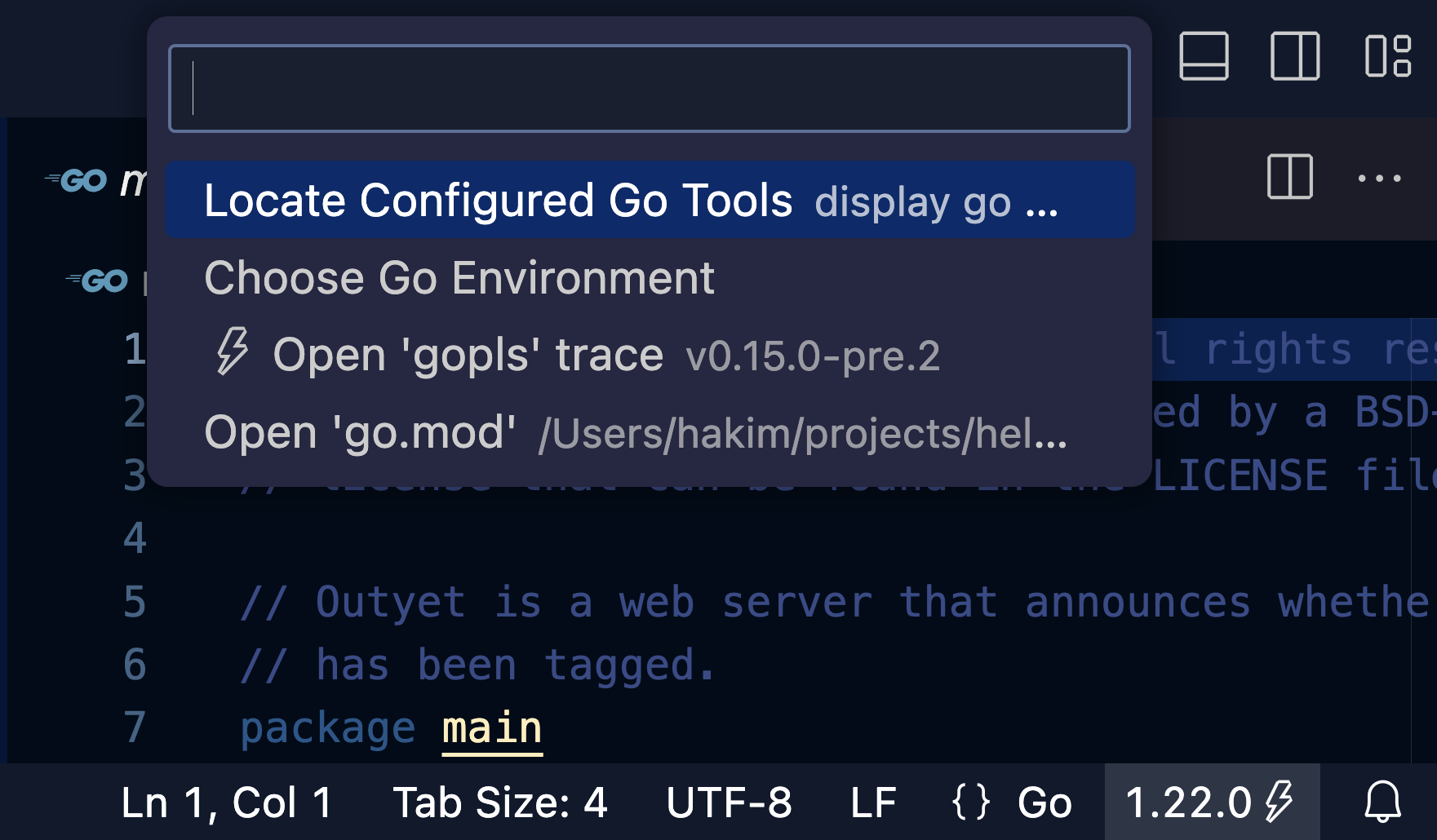 vscode extension after Go status bar item is clicked